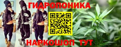 амф Заволжье
