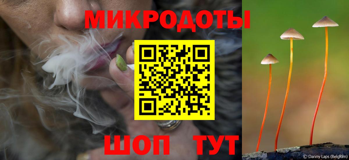 Псилоцибиновые грибы Psilocybine cubensis Донецк