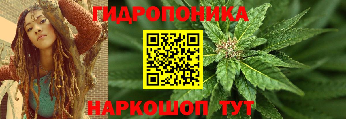 Шишки марихуана гибрид Донецк